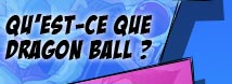 Qu'est-ce que Dragon Ball ?