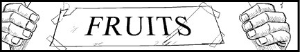 [partner]