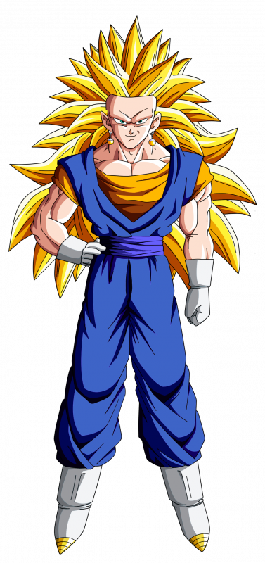 DRAGON BALL MULTIVERSE: SUPER VEGETTO 3