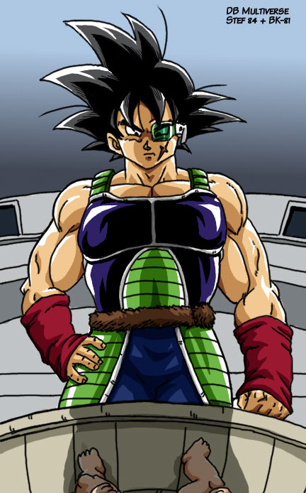 Multiverse, Dragon Ball Wiki